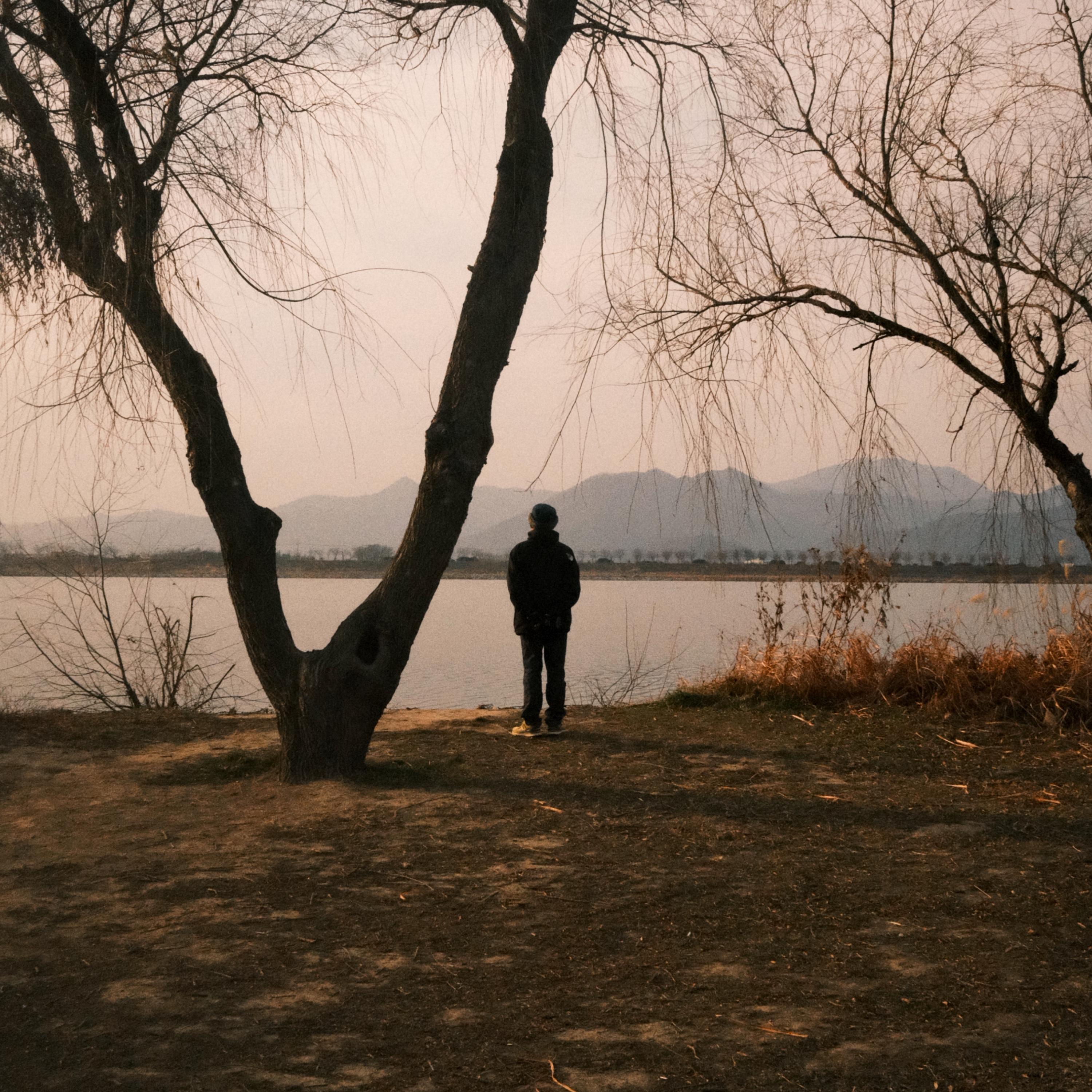 Not happiness