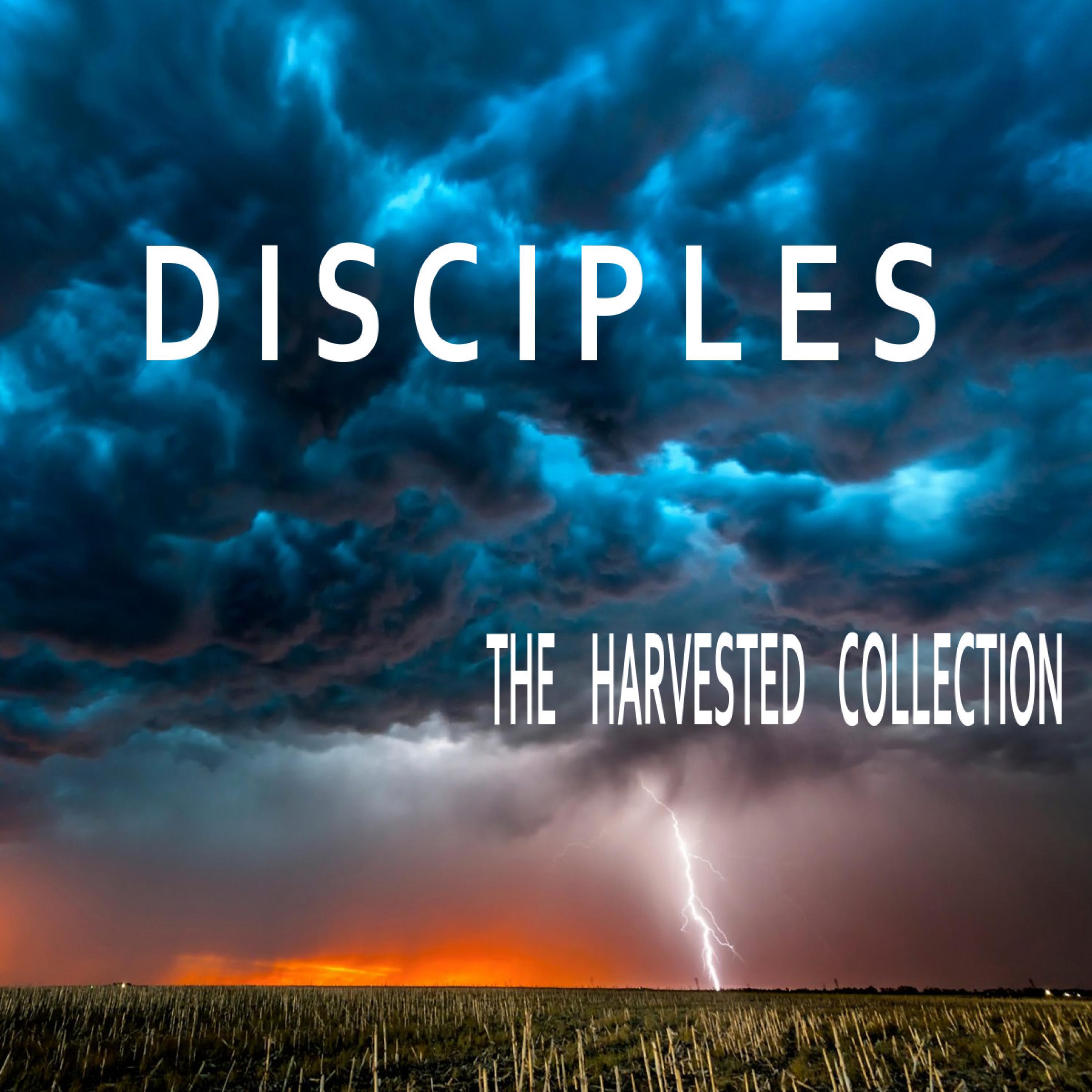 Disciples - Mary & Her Temple