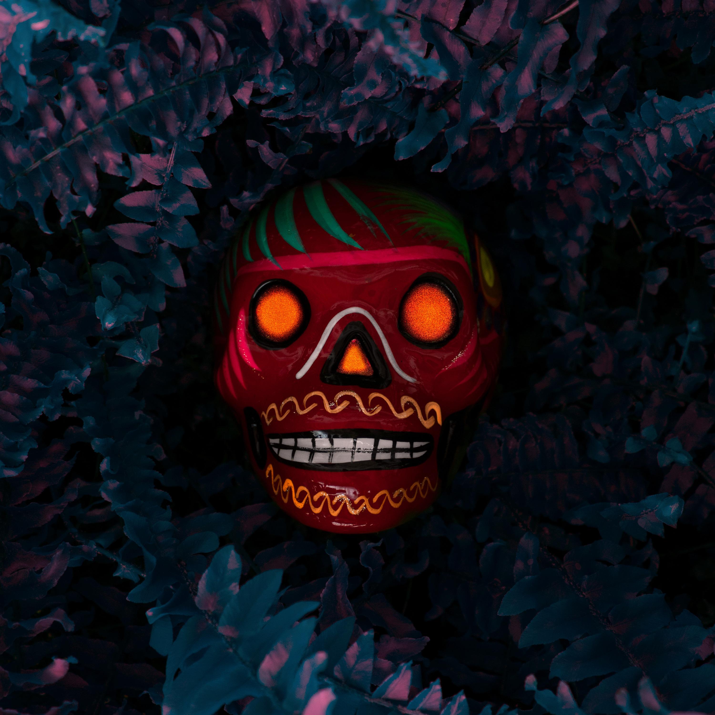 Dark Jungle