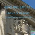 아름다운 피아노 클래식 Vol. 5  Franz Schubert 4 Impromptu op.90 D.899  (슈베르트 4개의 즉흥곡)