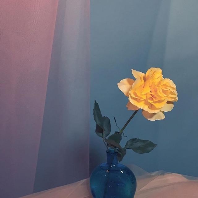你让我如何这么逃