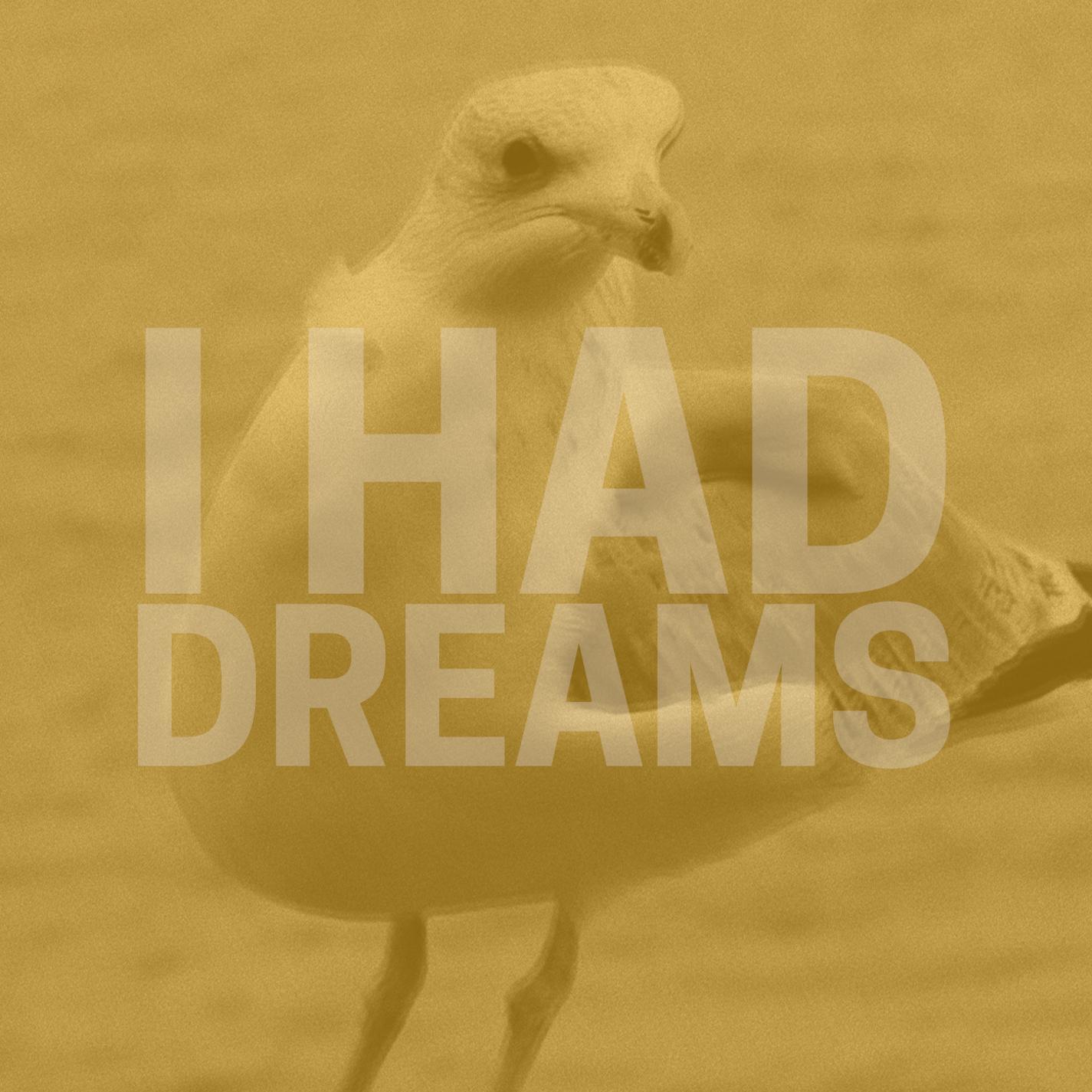 I Had Dreams