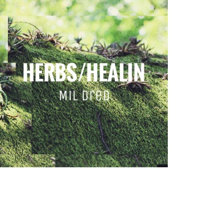 HERBS/HEALIN专辑