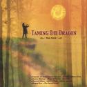 Taming The Dragon专辑