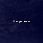 Now you know专辑