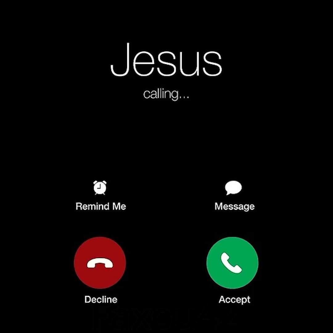 ✟ 冬の花に駆ける ✟