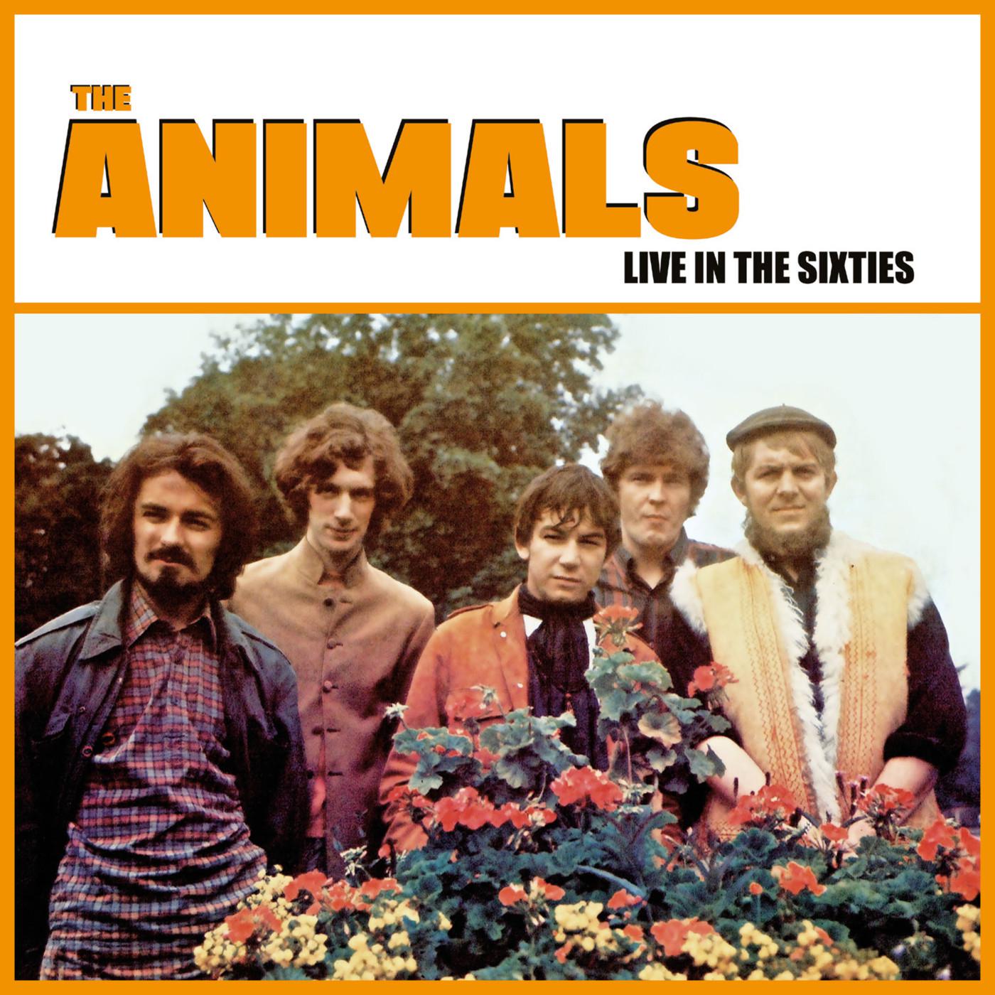 The Animals - Connection (Live: UK Radio Jan 28th 1967)
