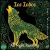 Los Lobos - Bertha (Live)