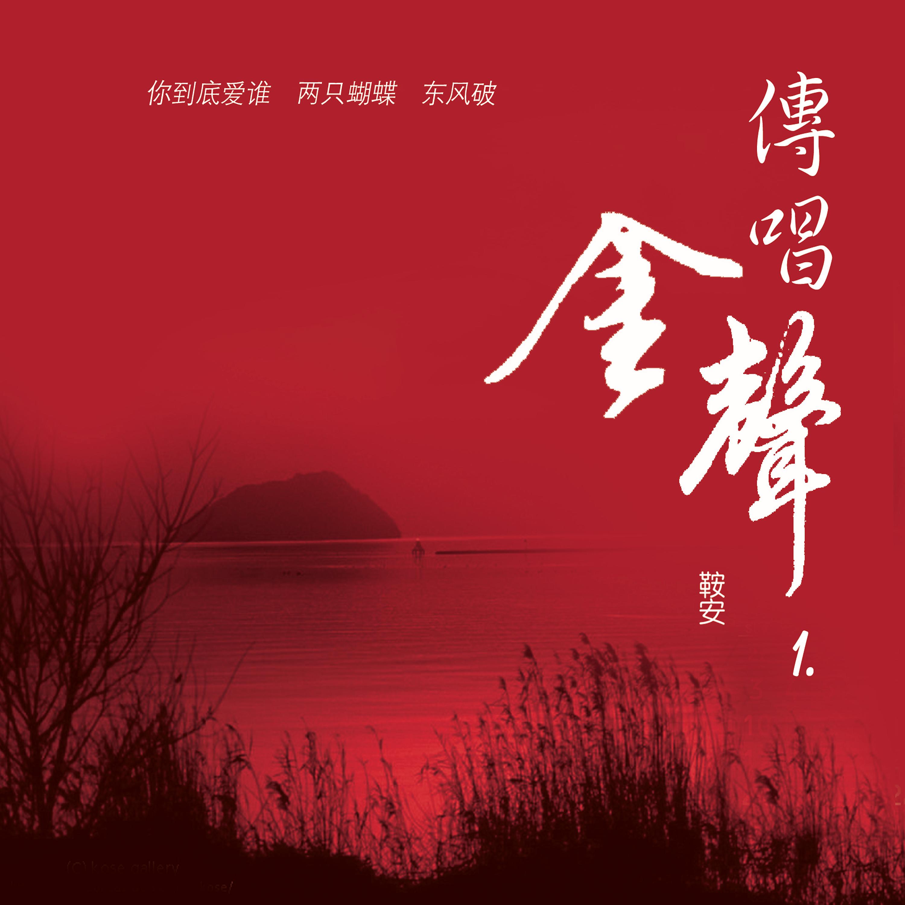 传唱金声1 (翻唱)