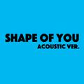 Shape of You(Acoustic ver.)