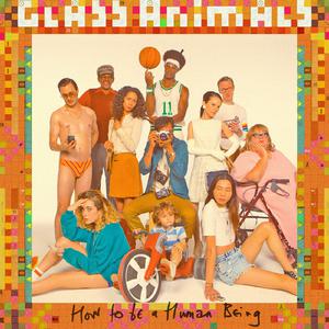 Agnes - Glass Animals (karaoke) 带和声伴奏