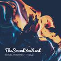 TheSoundYouNeed, Vol. 2专辑