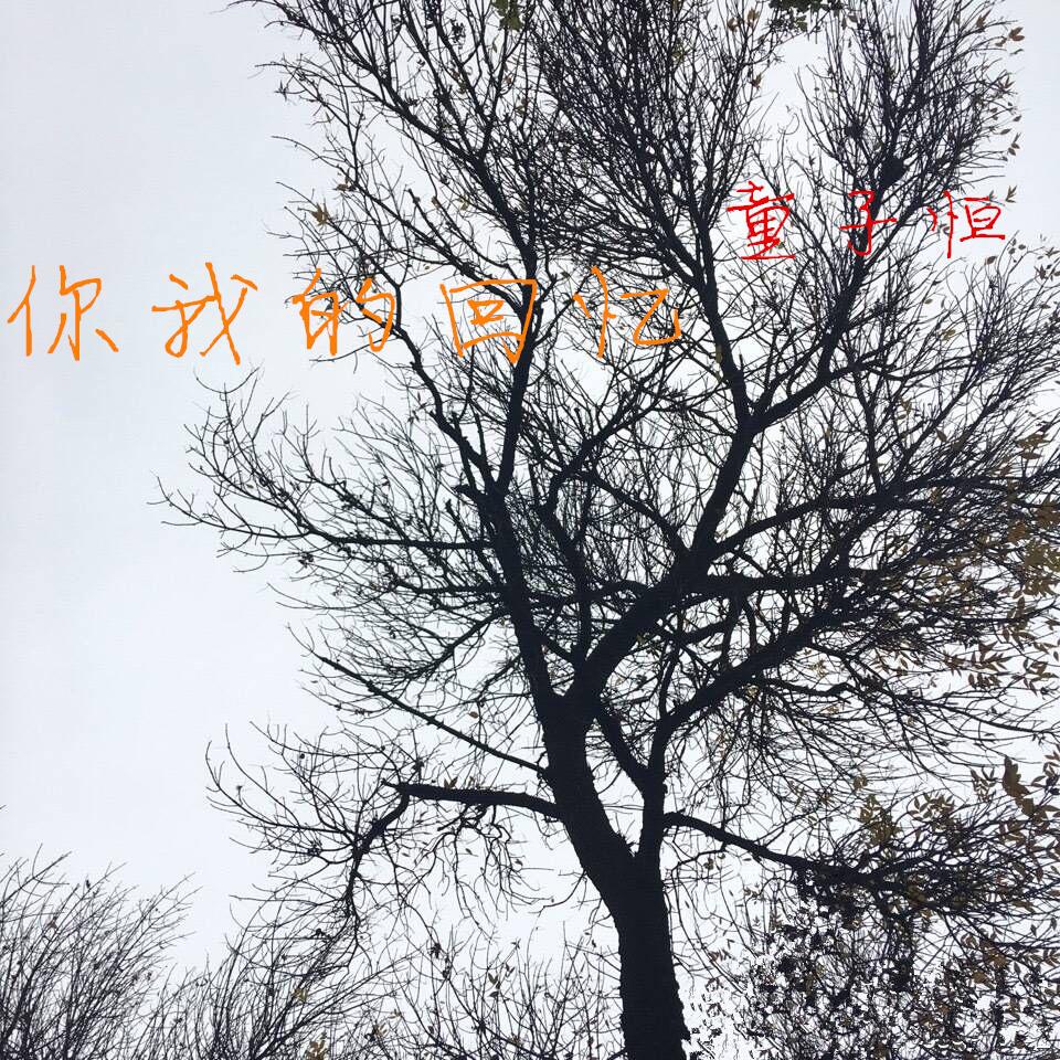 你我的回忆专辑