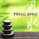 Feng Shui专辑