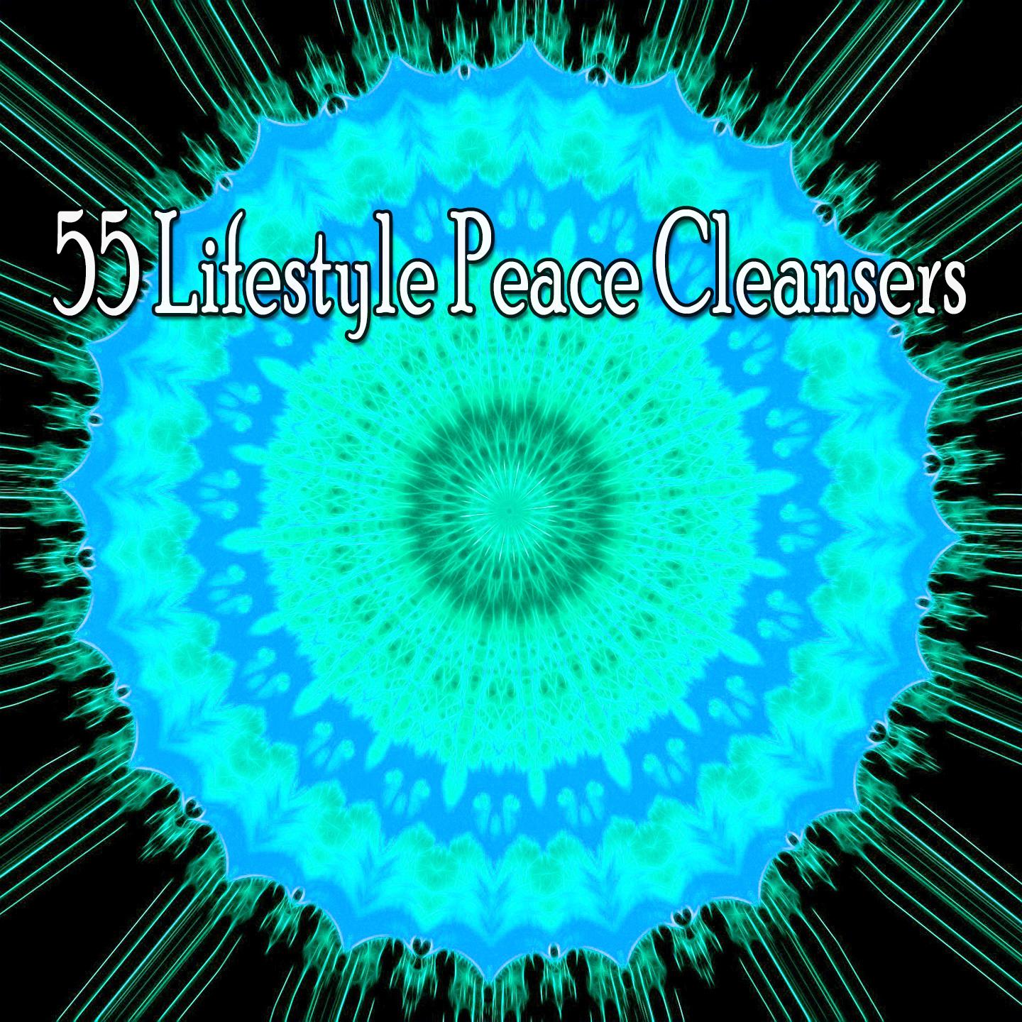 55 Lifestyle Peace Cleansers专辑