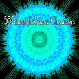 55 Lifestyle Peace Cleansers