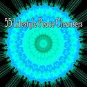 55 Lifestyle Peace Cleansers专辑