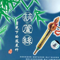 葫芦丝-月光下的凤尾竹