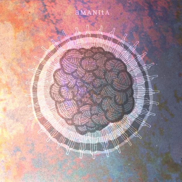 Amanita