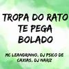 Mc Leandrinho - Tropa do Rato Te Pega Bolado