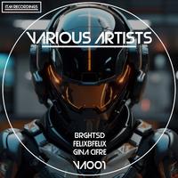 VARIOUS ARTISTS VA001