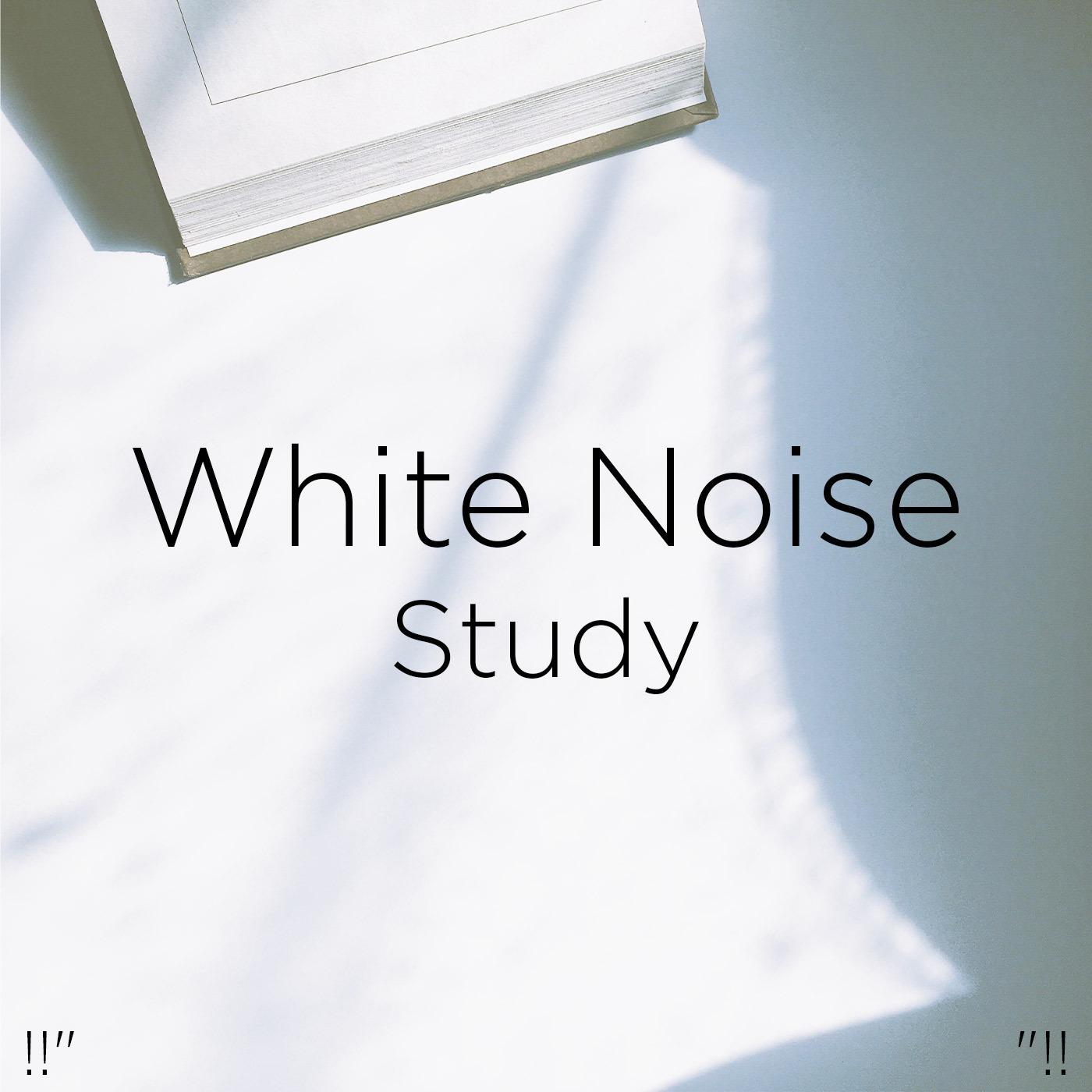 !!" White Noise Study "!!