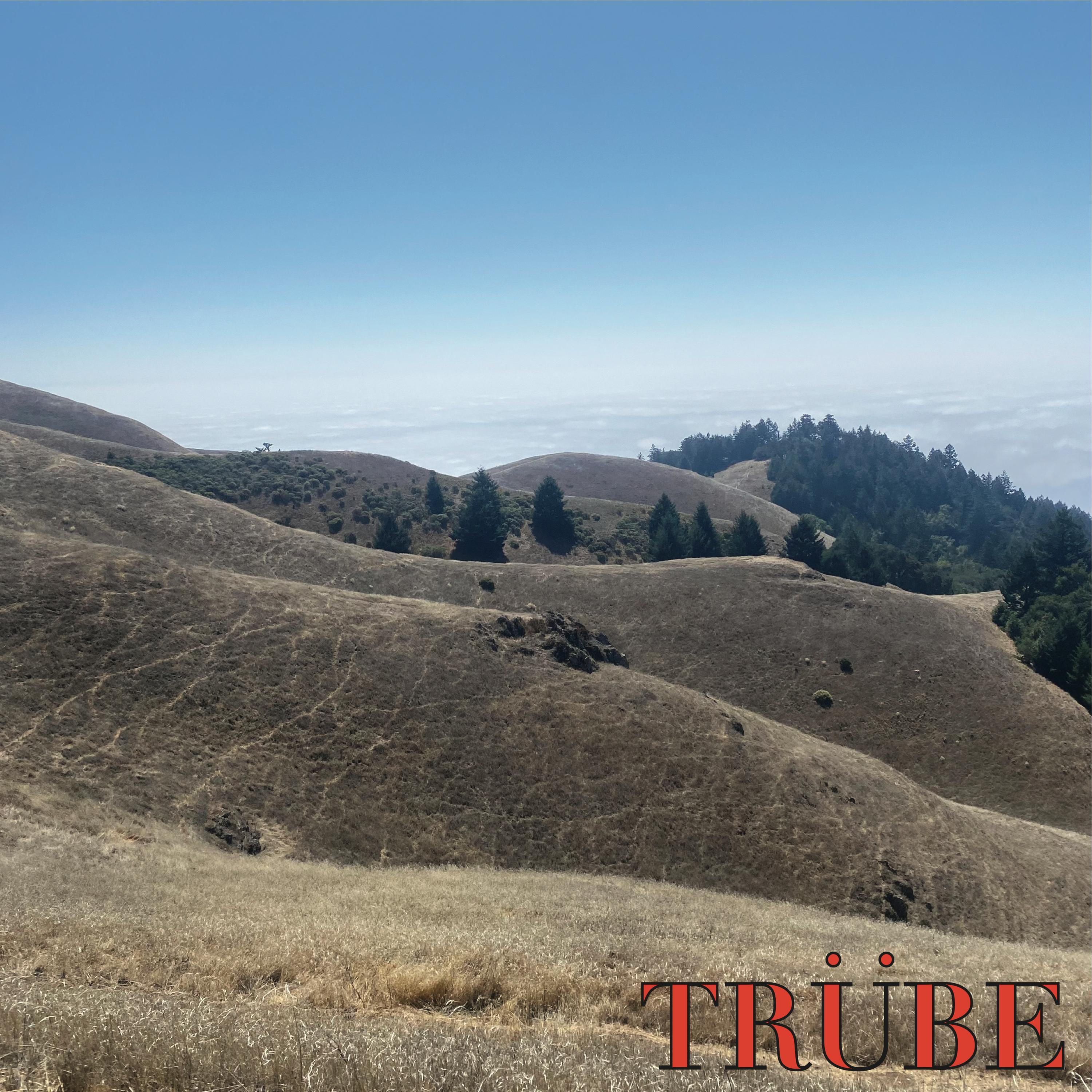 Trübe II