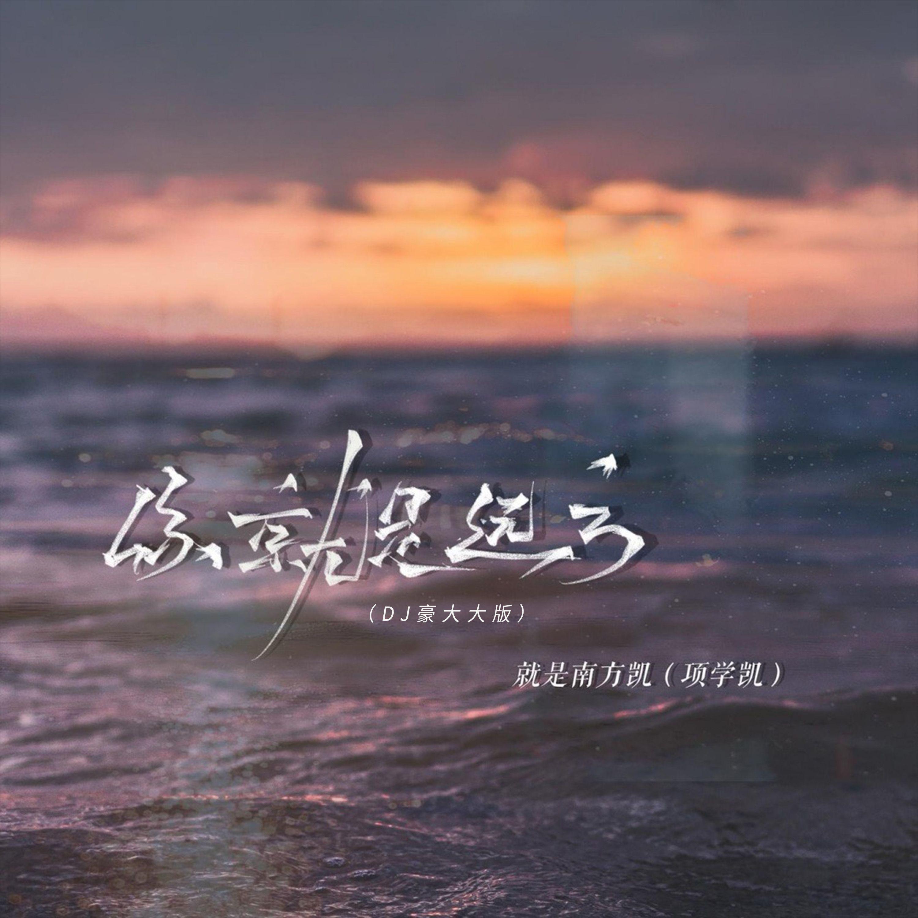 你就是远方（DJ豪大大版）