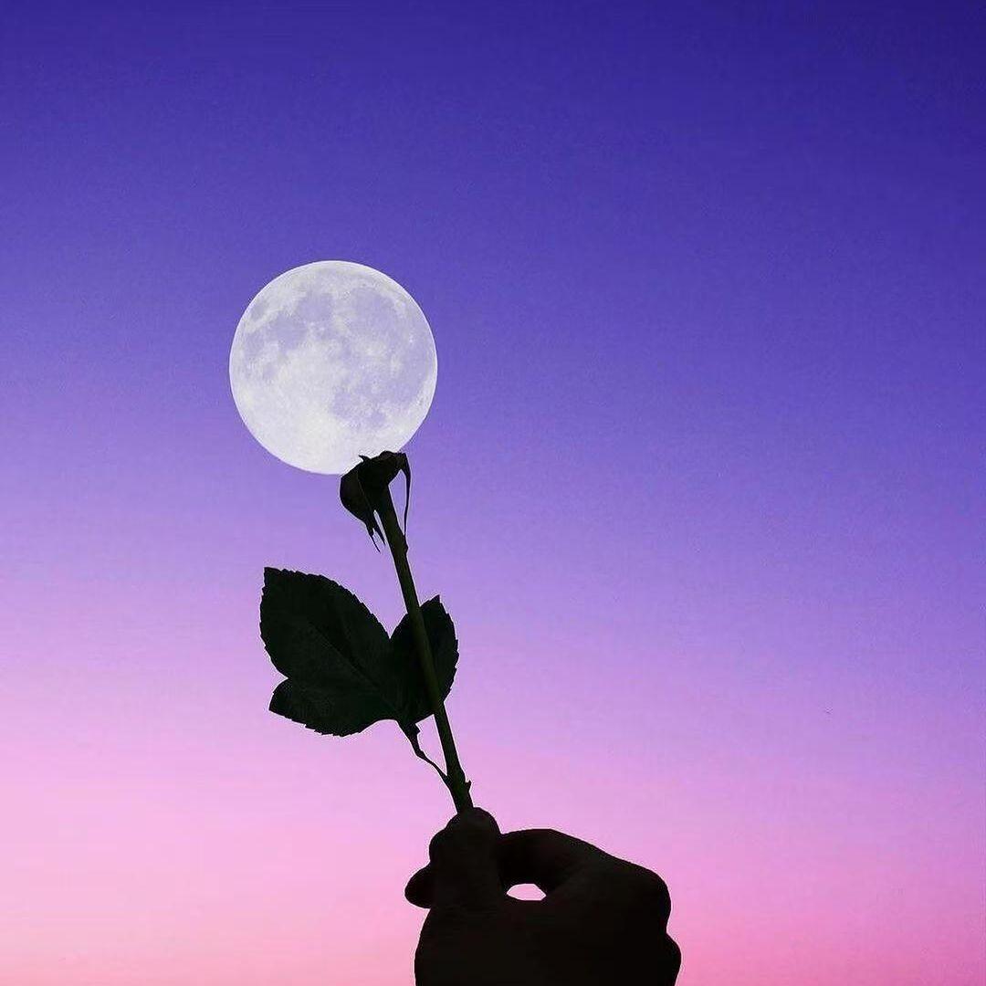 太聪明(R&B氛围版)