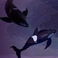 whale.