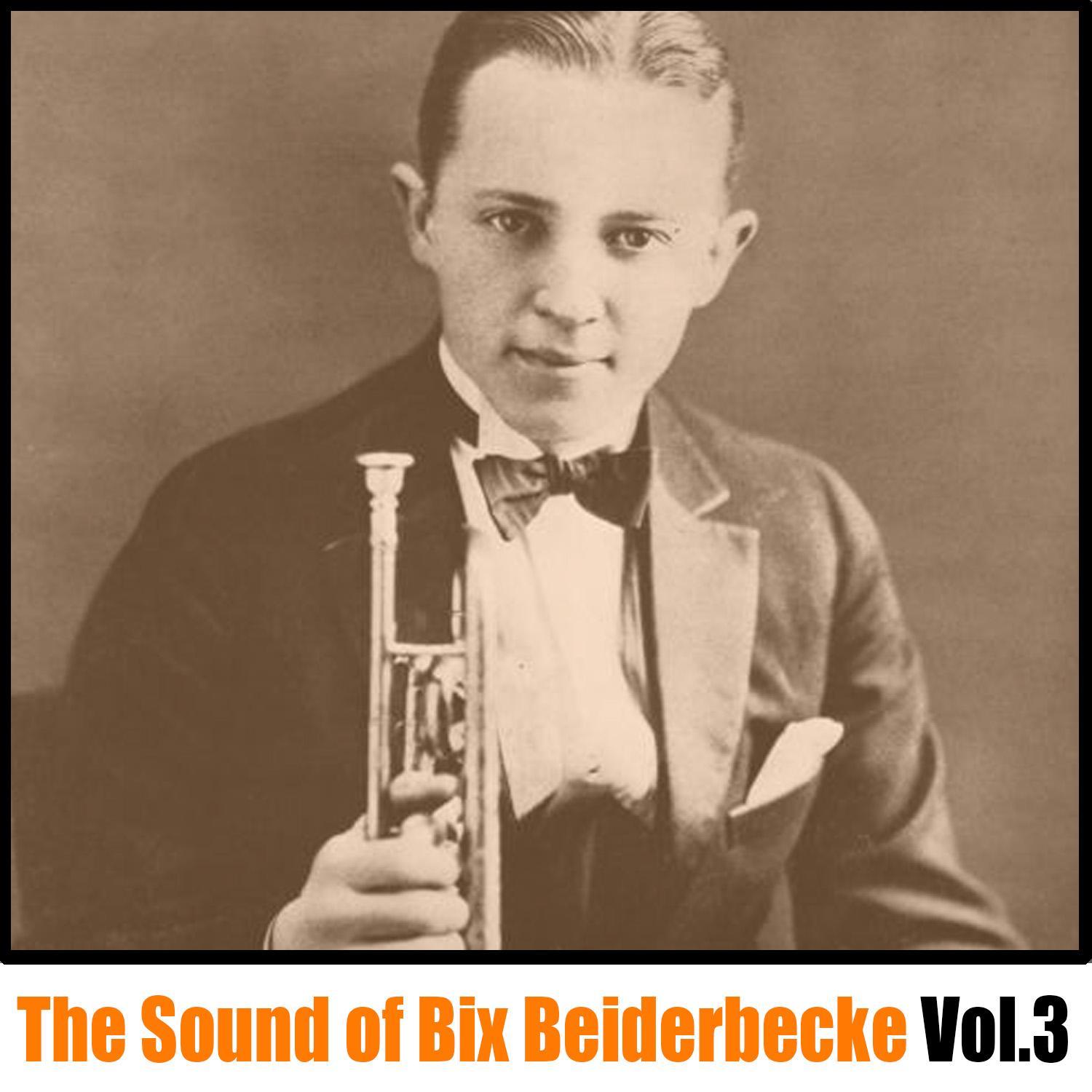 The Sound of Bix Beiderbecke, Vol. 3