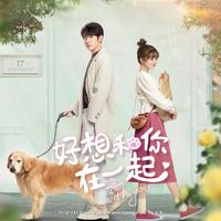 洛绒汪登--在你心里(原版伴奏)