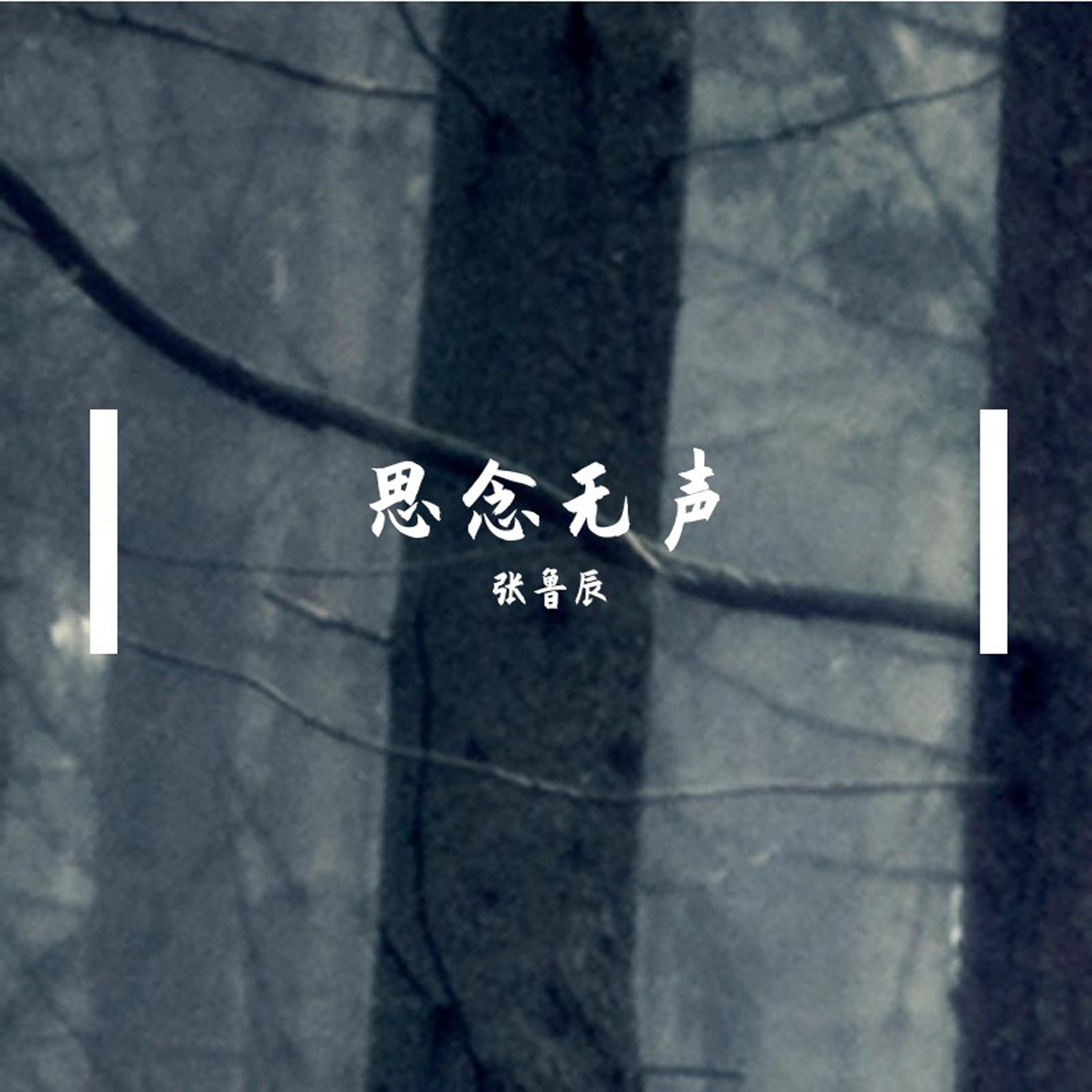 思念无声