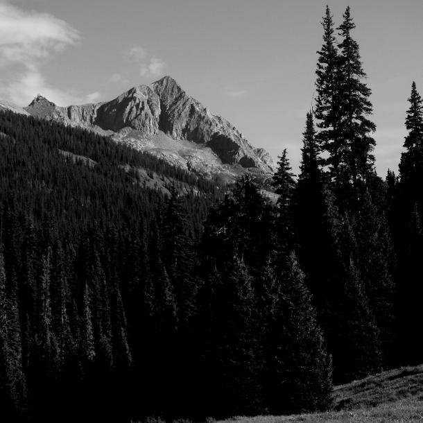 Alpine Expanse