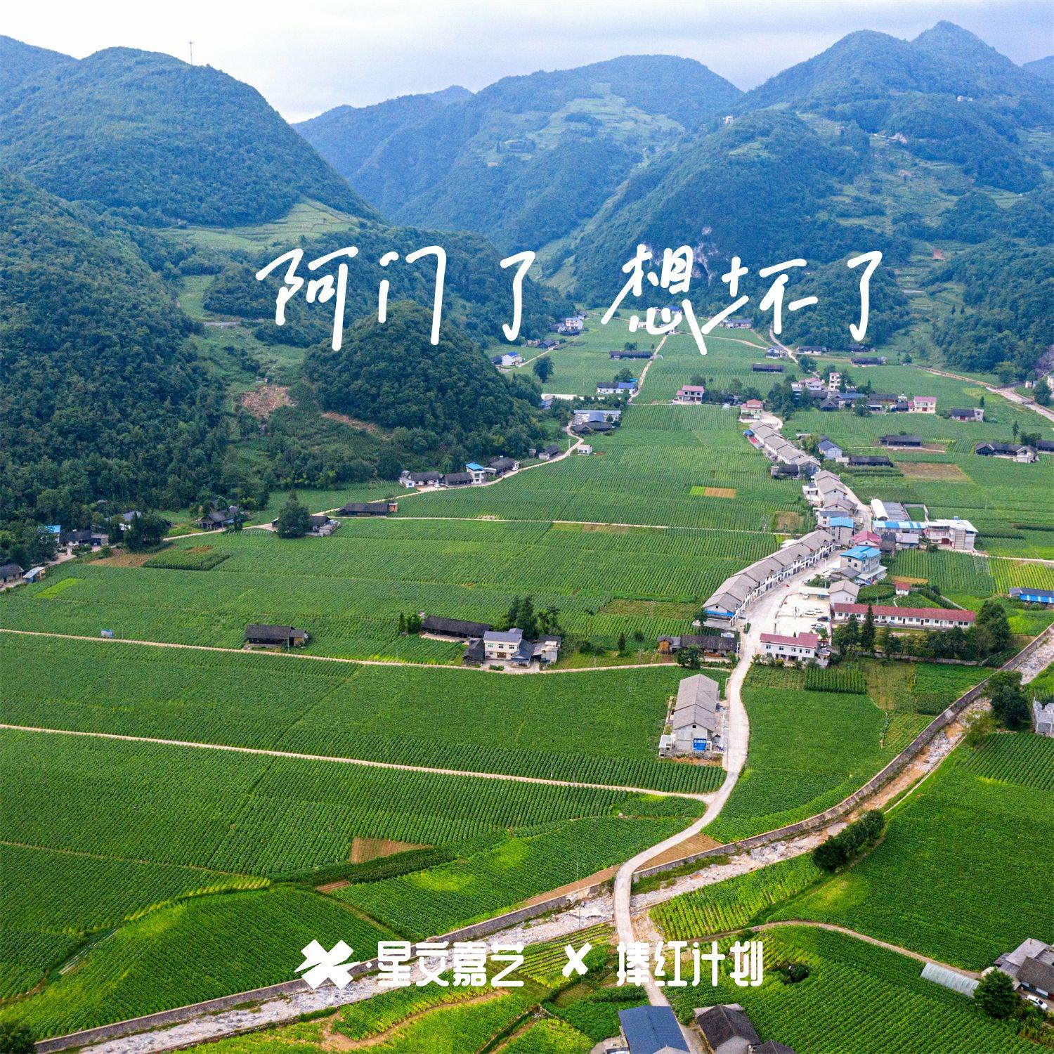阿门了 想坏了