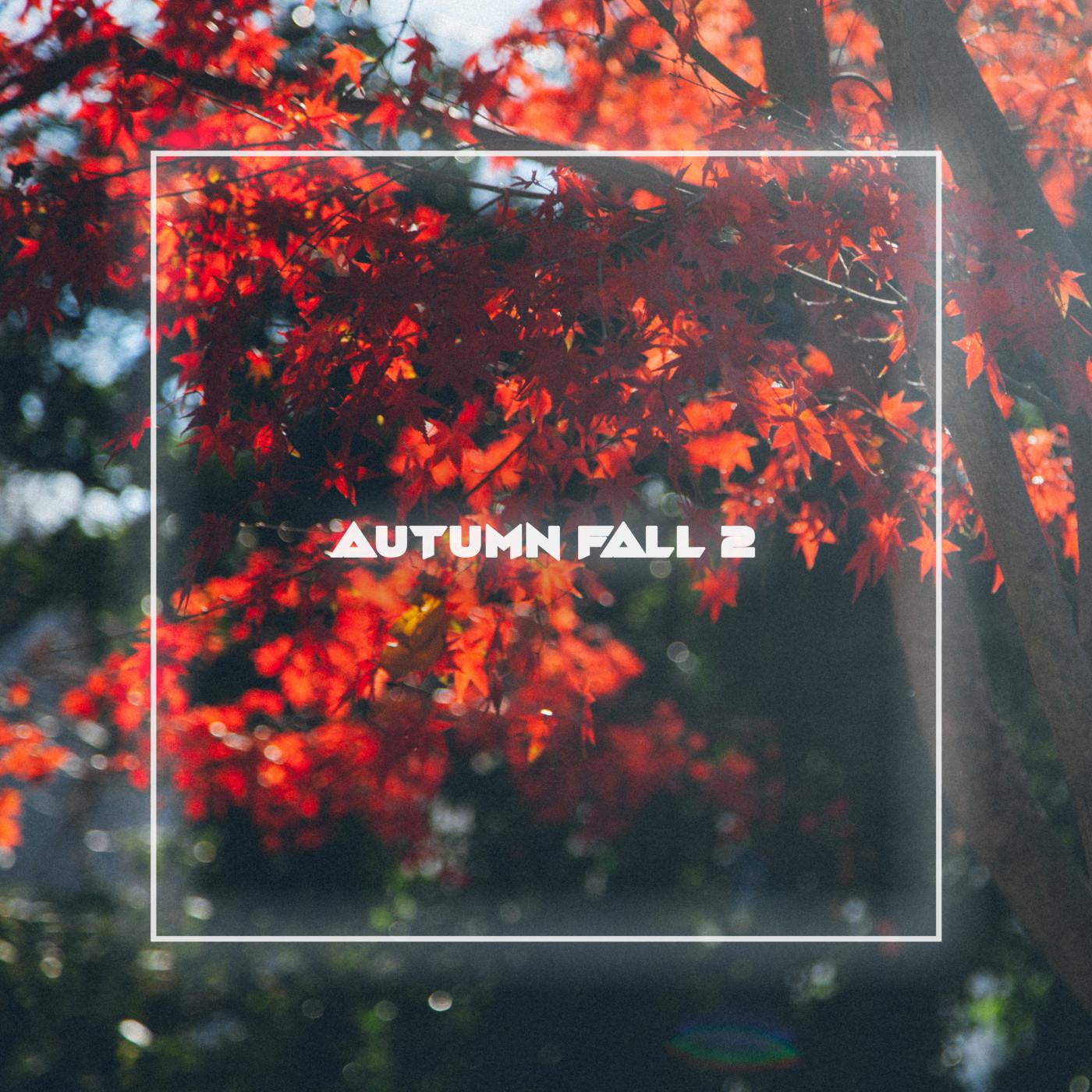 Autumn Fall 2专辑