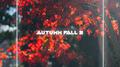 Autumn Fall 2专辑