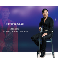 王振楠 - 你的无情我的泪(原版立体声伴奏)