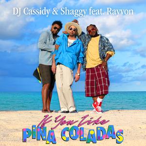 DJ Cassidy & Shaggy ft Rayvon - If You Like Pina Colada (Instrumental) 原版无和声伴奏