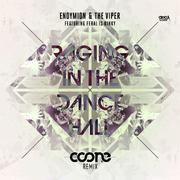 Raging In The Dancehall (Coone remix)专辑