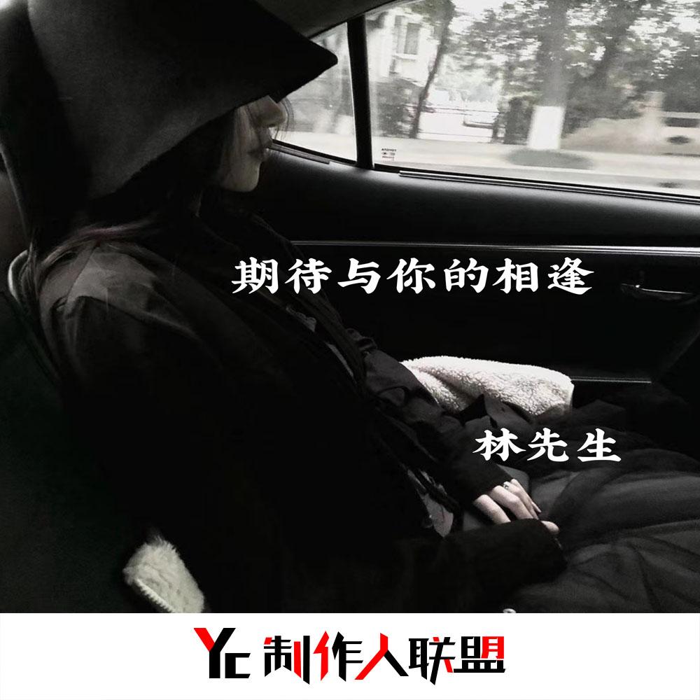 期待与你的相逢