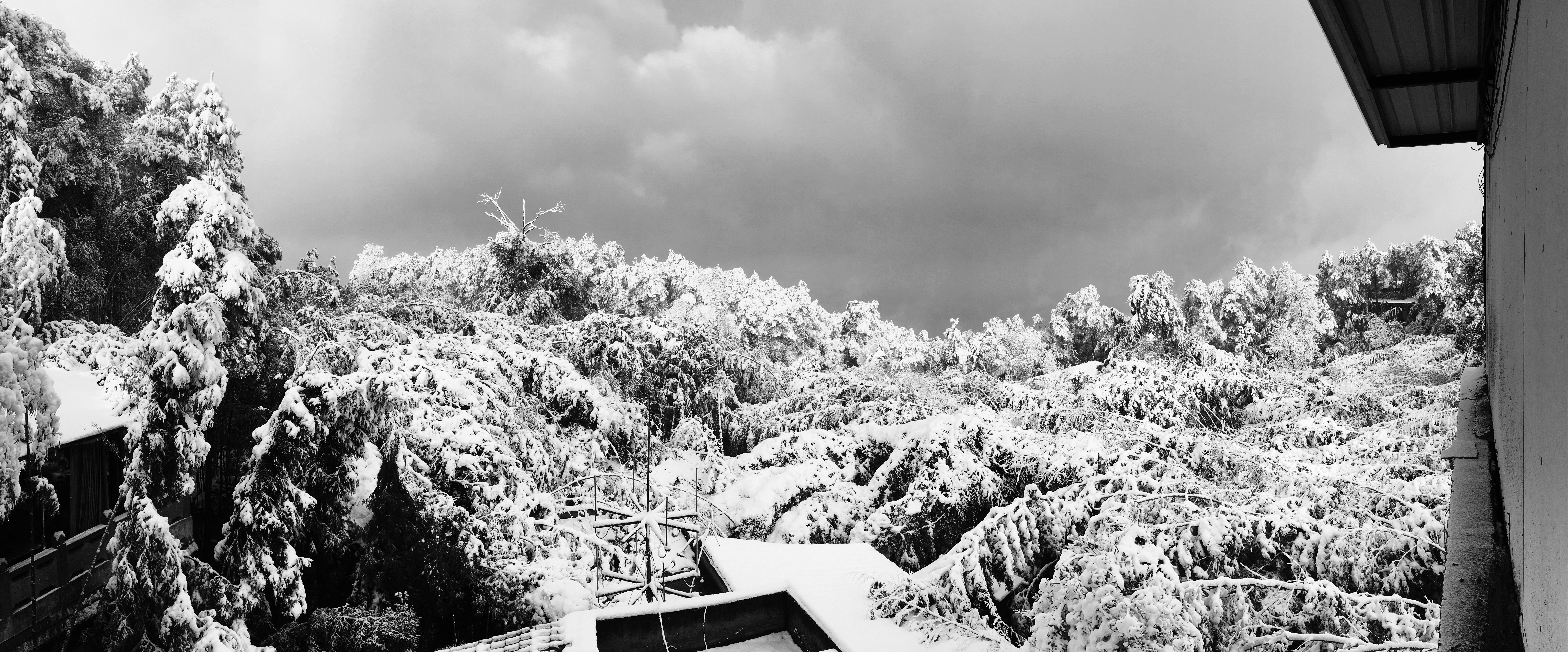 雪国（扫弦升调版）专辑