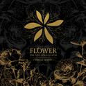 Flower (Special Edition)专辑