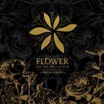 Flower (Special Edition)专辑