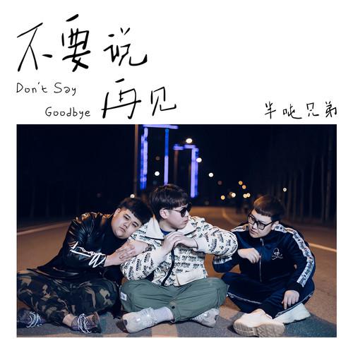 不要说再见