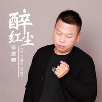 李建强-醉红尘