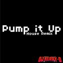 Pump it Up - Kerry.D(House Remix)