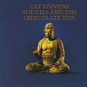 Buddha And The Chocolate Box专辑
