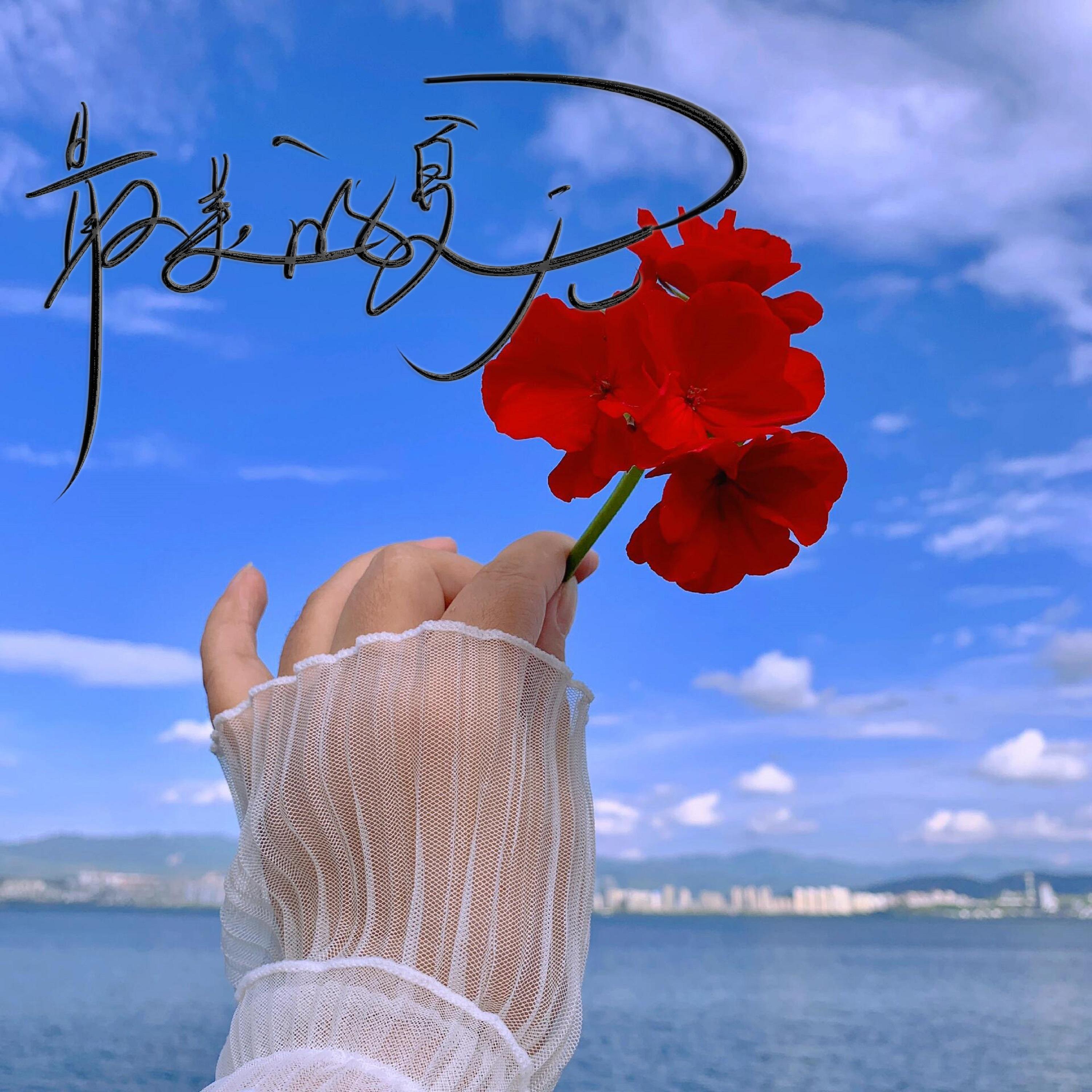 最美的夏天（BGM纯音乐钢琴曲）