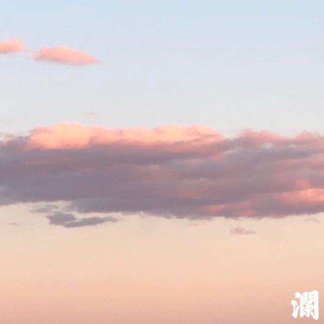 4.14 春(VaporWave)专辑